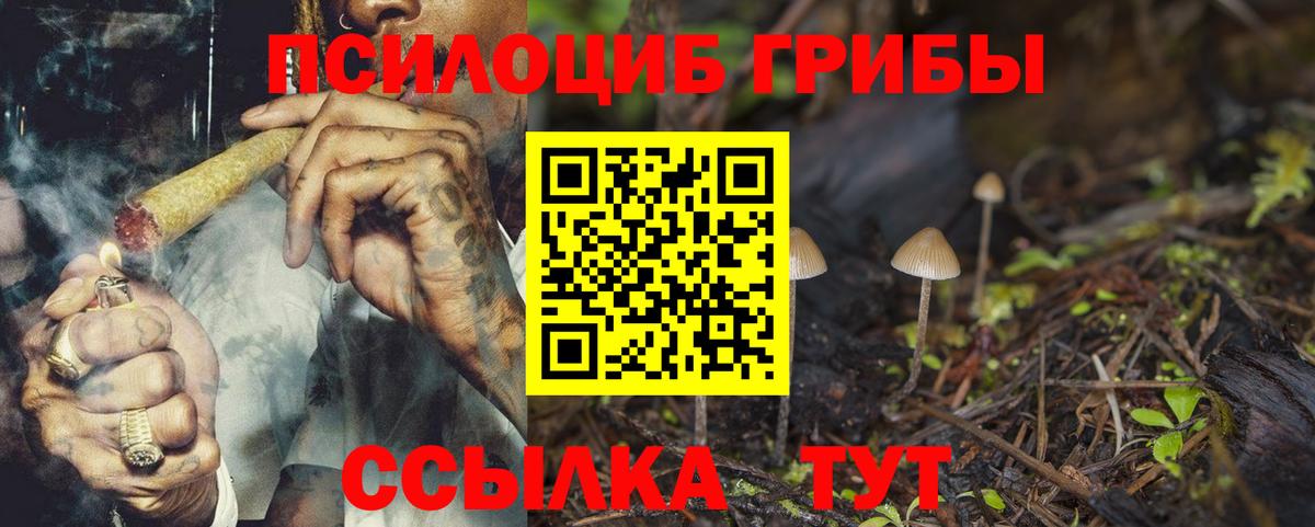 Псилоцибиновые грибы Psilocybe  Вход с VPN  Киреевск 