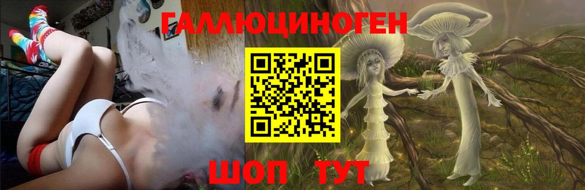 Галлюциногенные грибы Psilocybine cubensis Киреевск